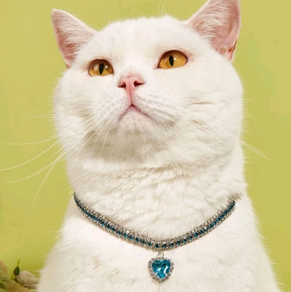 SMALL CAT/TOY DOG Color Rhinestone Heart Pet Necklace